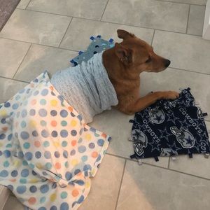 Meet your Posher, Laura